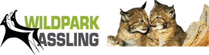 Wildpark Assling Logo