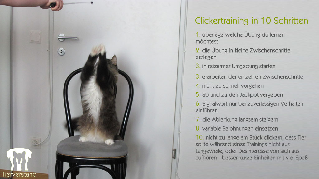 10 Schritte Clickerprogramm