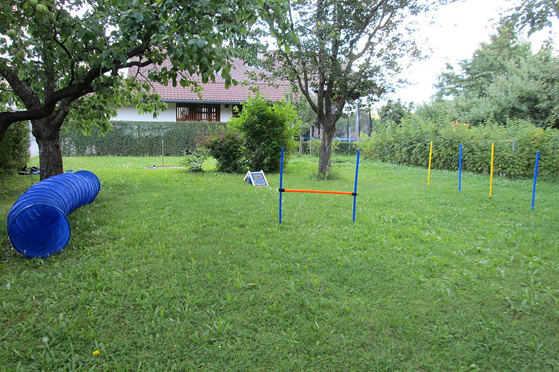 Hier ein Beispiel eines aufgebauten Fun-Agility-Parcours Fun-Agility-Parcours