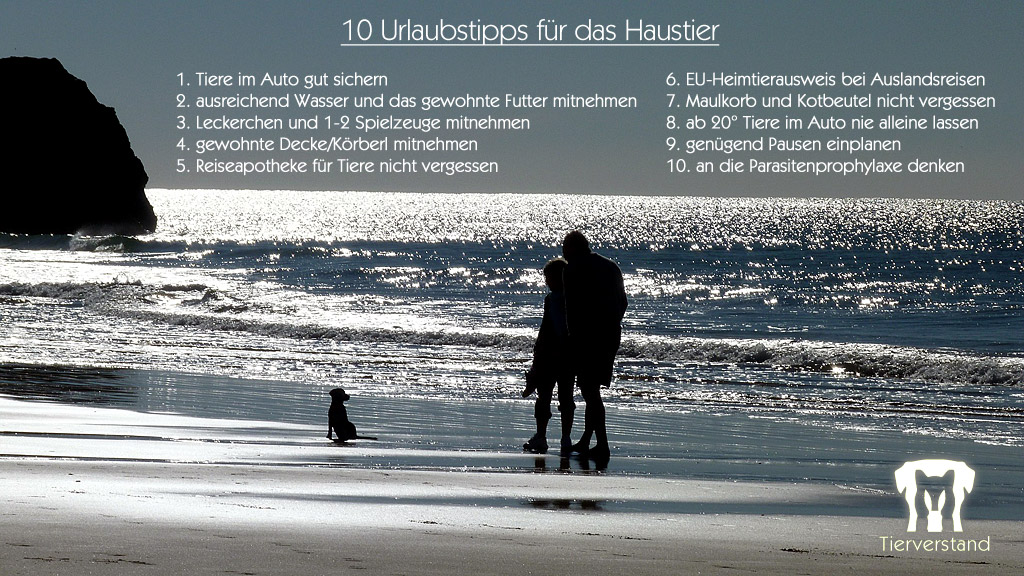urlaub-mit-dem-haustier