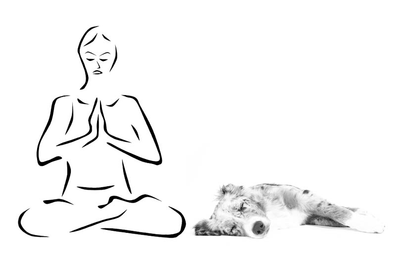 Dogyoga