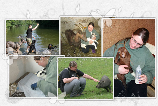Hundetrainer Gerda bei der Arbeit