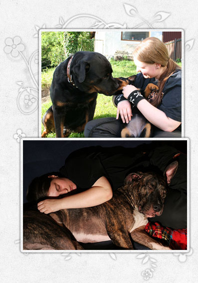 Hundetrainer Gerda beim entspannen mit Lauri