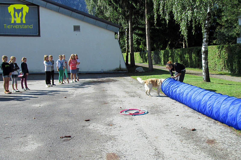 Kinderstadt Lienz 2014