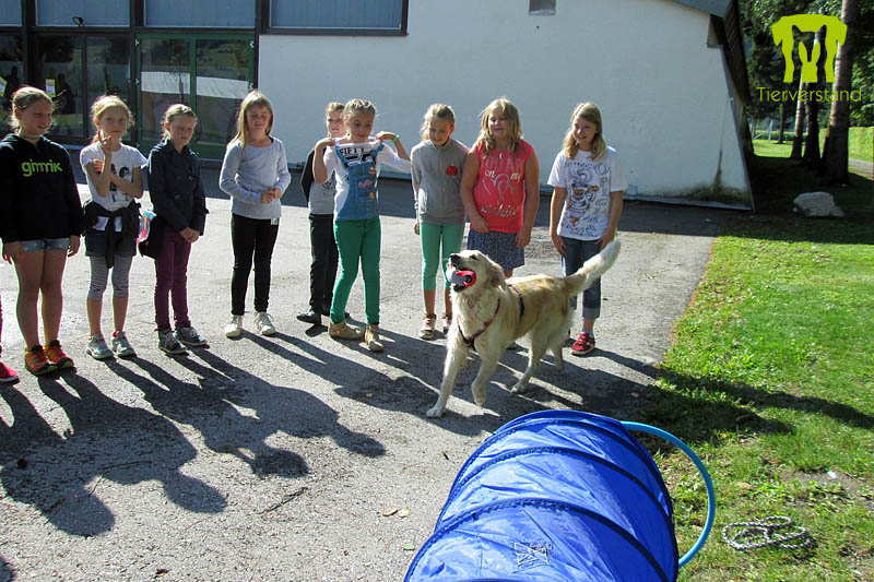 Kinderstadt Lienz 2014 