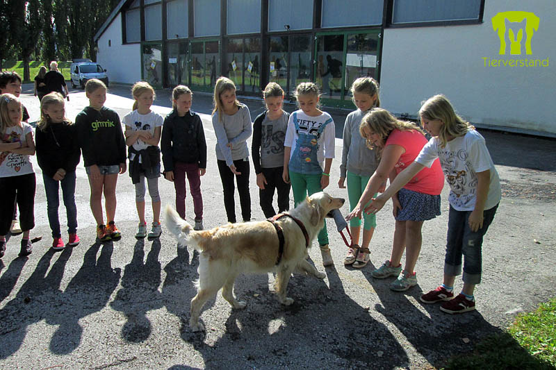 Kinderstadt Lienz 2014
