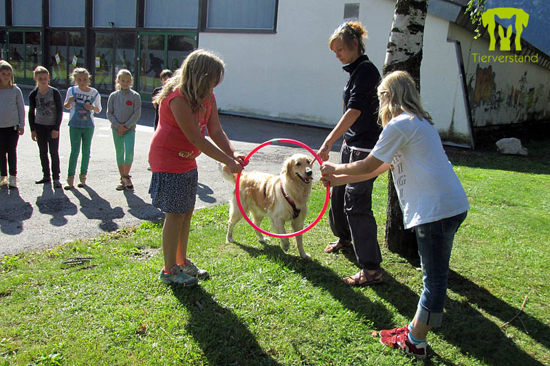 Kinderstadt Lienz 2014